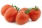 fresh and colorful italian plum tomatoes