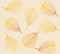 Fresh colorful leaves background.