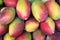Fresh Colorful Mangoes Tropical Fruit Farmers Market