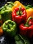 Fresh colorful peppers being rinsed and ready to be eaten