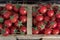 Fresh colorful ripe tomatoes autumn relics. Small red cherry tomatoes in a wicker rattan basket, top view, horizontal composition