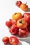 Fresh colorful tomatoes (red, yellow, orange) on white plate with hard shadows on textured background. Copy space