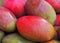 Fresh colorful tropical mangoes on display at outdoor farmers market