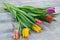 Fresh colorful tulip flowers bouquet on wooden table