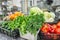 Fresh colorful Vegetables and fruit in kitchen on silver steel table. Work surface and kitchen equipment in professional