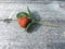 Fresh colourful strawberry on a wooden background