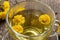 Fresh coltsfoot flowers in a cup of coltsfoot tea