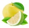 Fresh composition with citrus fruits - white grapefruit and oroblanco isolated on a white background.