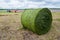 fresh compressed bales of hay lie wrapped in a net