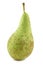 Fresh conference pear