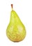 Fresh Conference Pear