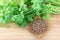 Fresh coriander, cilantro and a bowl of seeds