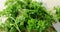 Fresh coriander leaves with knife 4k