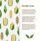 Fresh corn banner template design. Vector harvest flyer