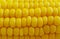 Fresh corn close-up background kernel veggie summer