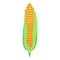 Fresh corn cob icon, isometric style