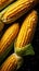 Fresh corn on cobs on rustic wooden table, closeup