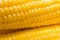 Fresh corn in farm closeup image worm light