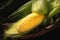 Fresh corn on rustic wooden table, closeup top view