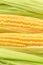 Fresh corn on white background