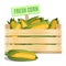 Fresh corn in a wooden box on a white background. Vector icon.