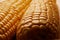 Fresh corncob macro image. Two cob of corn lying aside each other golden kernels well lit