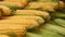 Fresh corncobs close up in retail