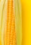 Fresh Corns Closeup