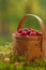 Fresh cranberries in a basket