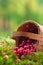 Fresh cranberries in a basket