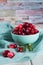 Fresh cranberries in a blue bowl. Ripe berries of Vaccinium macrocarpon, also large cranberry, American cranberry or bearberry.