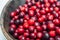 Fresh cranberries Fresh cranberries in wooden bowl