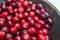 Fresh cranberries Fresh cranberries in wooden bowl