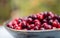 Fresh cranberries in wooden bowl