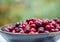 Fresh cranberries in wooden bowl