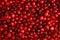 Fresh cranberry background