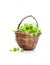 Fresh cress salad in wicker small basket isolated