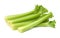 Fresh and Crisp: Isolated Celery Sticks on White Background