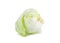 Fresh Crisphead lettuce or Iceberg lettuce on white background