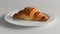 Fresh croissant, gourmet dessert, sweet bun, indulgence on white plate