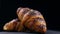 Fresh croissants on a black background.Rotate croissants. Copy space. Place for text.