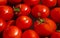 A fresh crop of red juicy tomatoes with green tails float in clean water