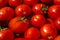 A fresh crop of red juicy tomatoes with green tails float in clean water