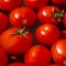 A fresh crop of red juicy tomatoes with green tails float in clean water