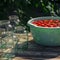 A fresh crop of red tomatoes washed in clear water, floats in a round plastic bowl, which stands on a wooden table, next to glass