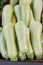 Fresh cropped green Zucchini; Offer in the vegetable market; Summer squash