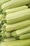 Fresh cropped green Zucchini; Offer in the vegetable market; Summer squash.