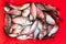 Fresh crucian fish on a red background