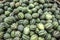 Fresh cucamelon background texture