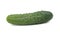 Fresh cucumber, isolated
